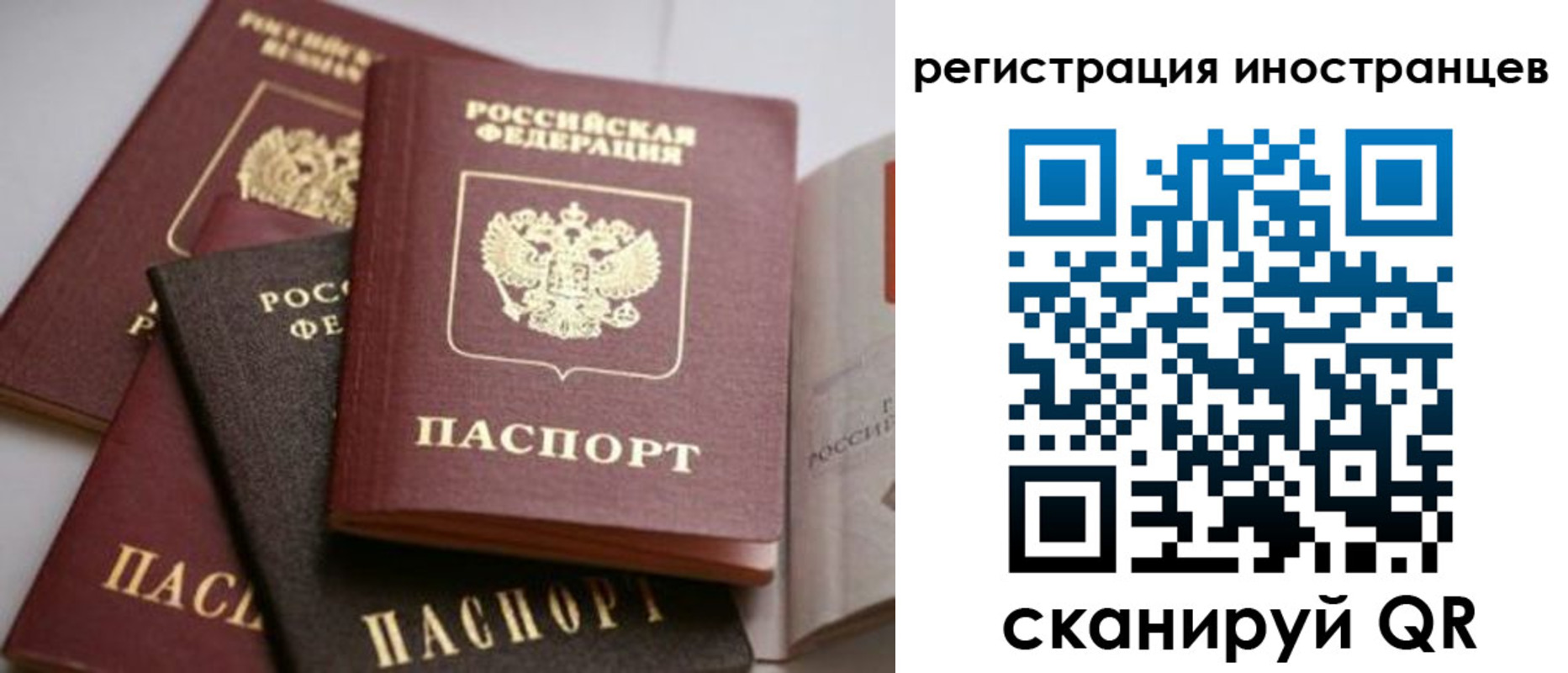 форма 3 в Сегеже